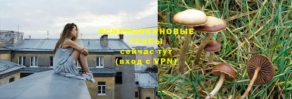 мескалин Пересвет