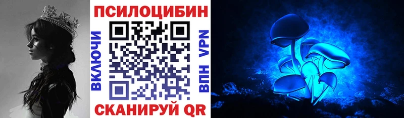 сколько стоит  Кораблино  нарко площадка наркотические препараты  Галлюциногенные грибы мицелий 