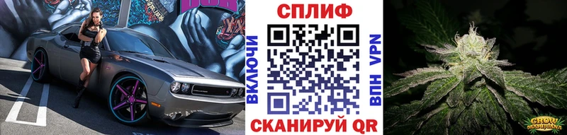 Каннабис White Widow  где можно купить наркотик  Кораблино 